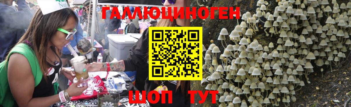 Псилоцибиновые грибы MAGIC MUSHROOMS  Вход с VPN  Малоярославец 